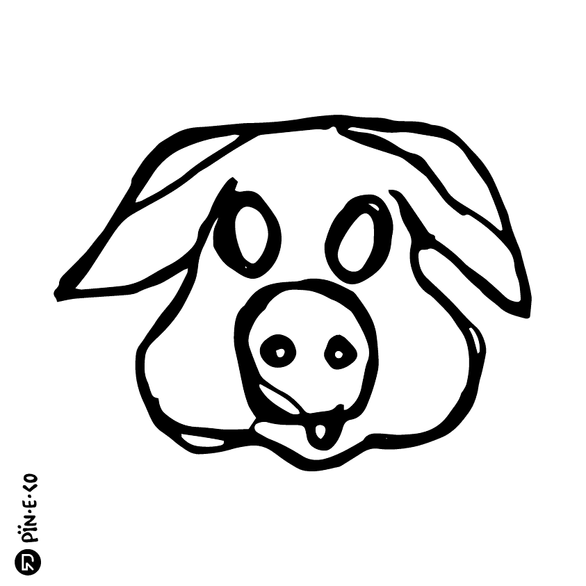 Pin·e·co no 0021 — beeld 7 van 11