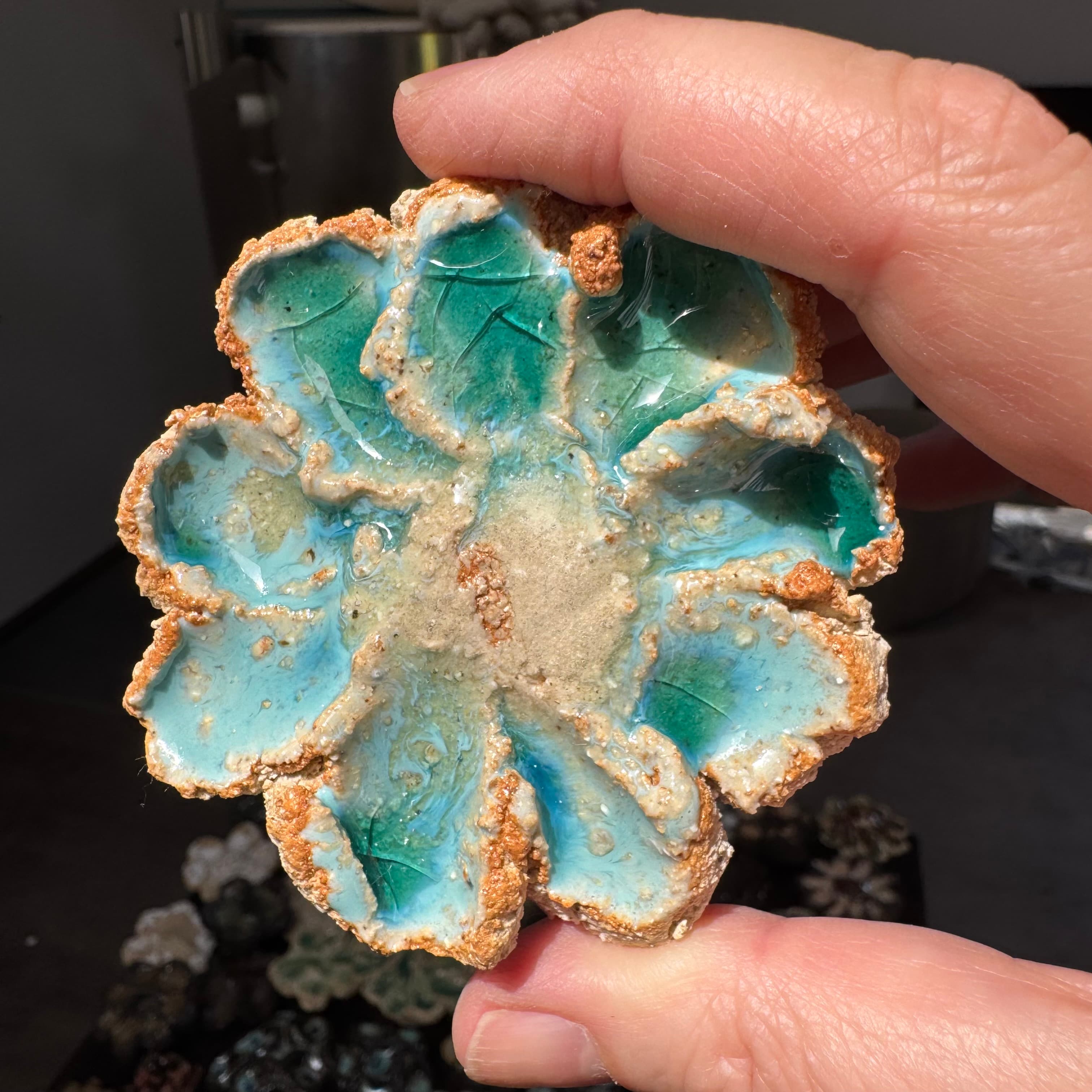 A group of small glazed ceramic flower fragments from CLSTR